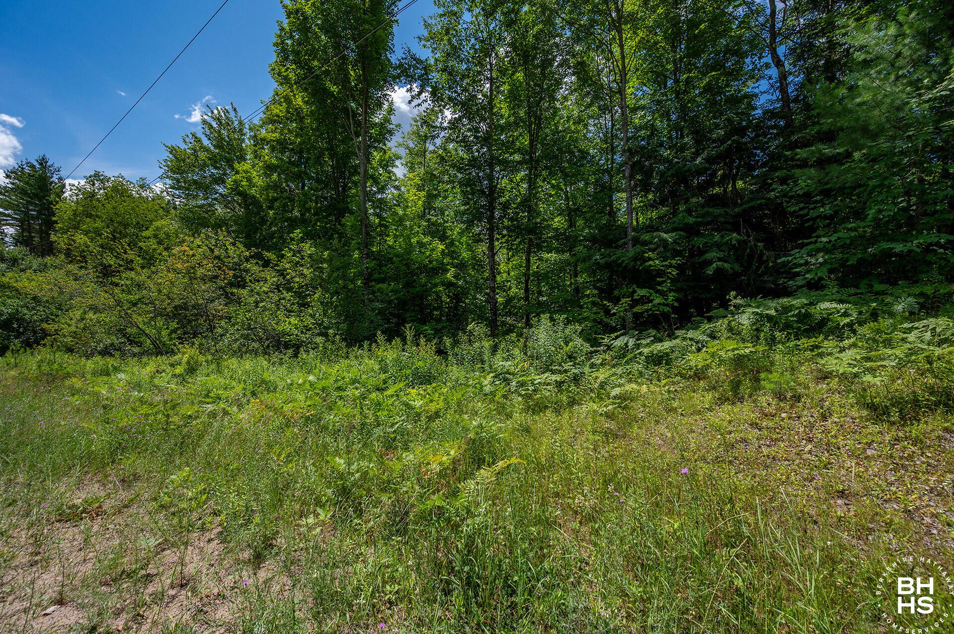 Image 1: 5AcreLoonLake_July26_Lot_L