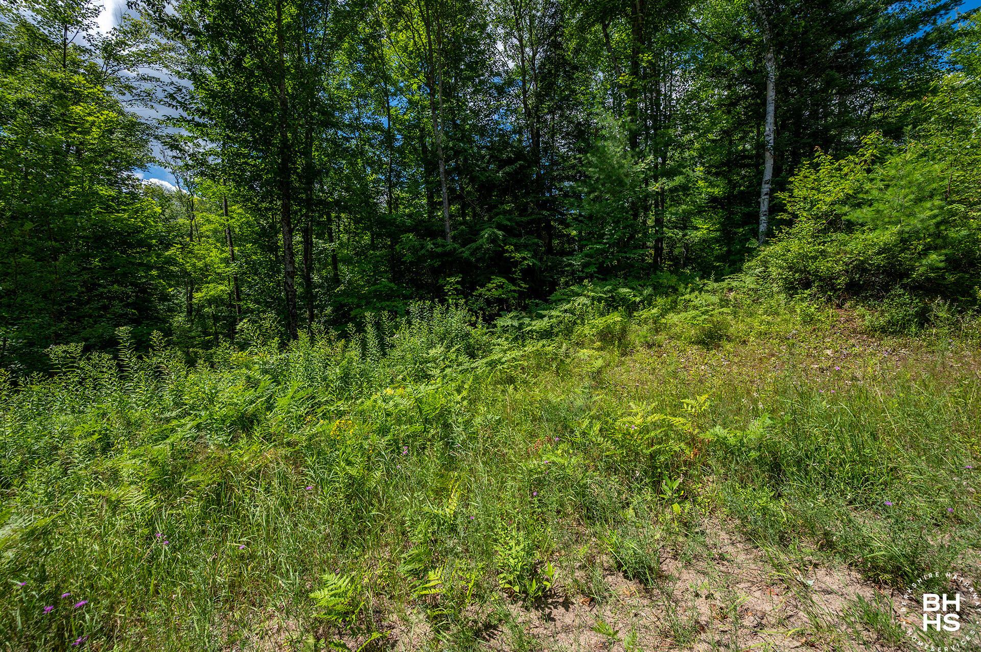 Image 2: 5AcreLoonLake_July26_Lot_R