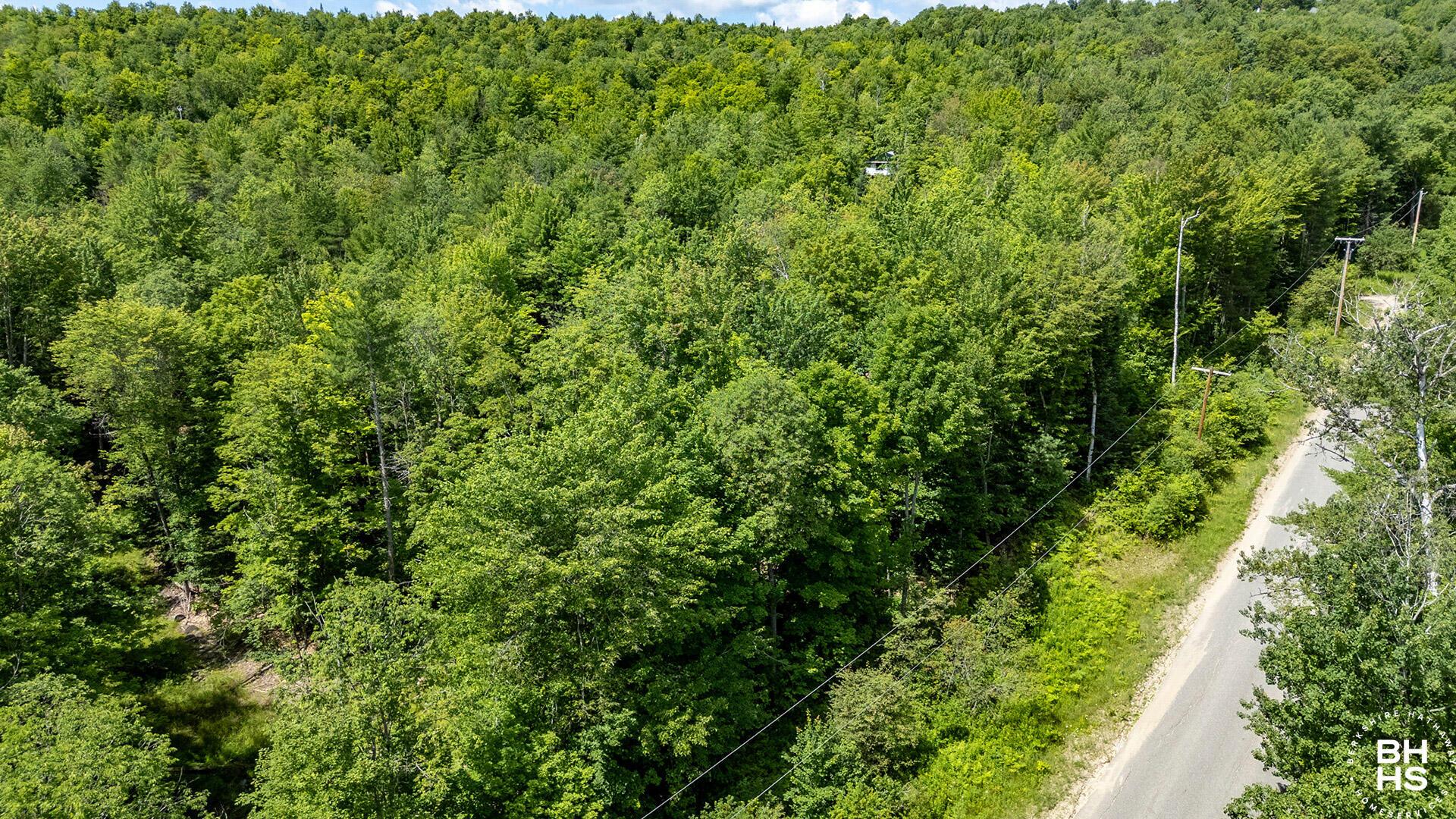 Image 3: 5AcreLoonLake_July26_A_Lot