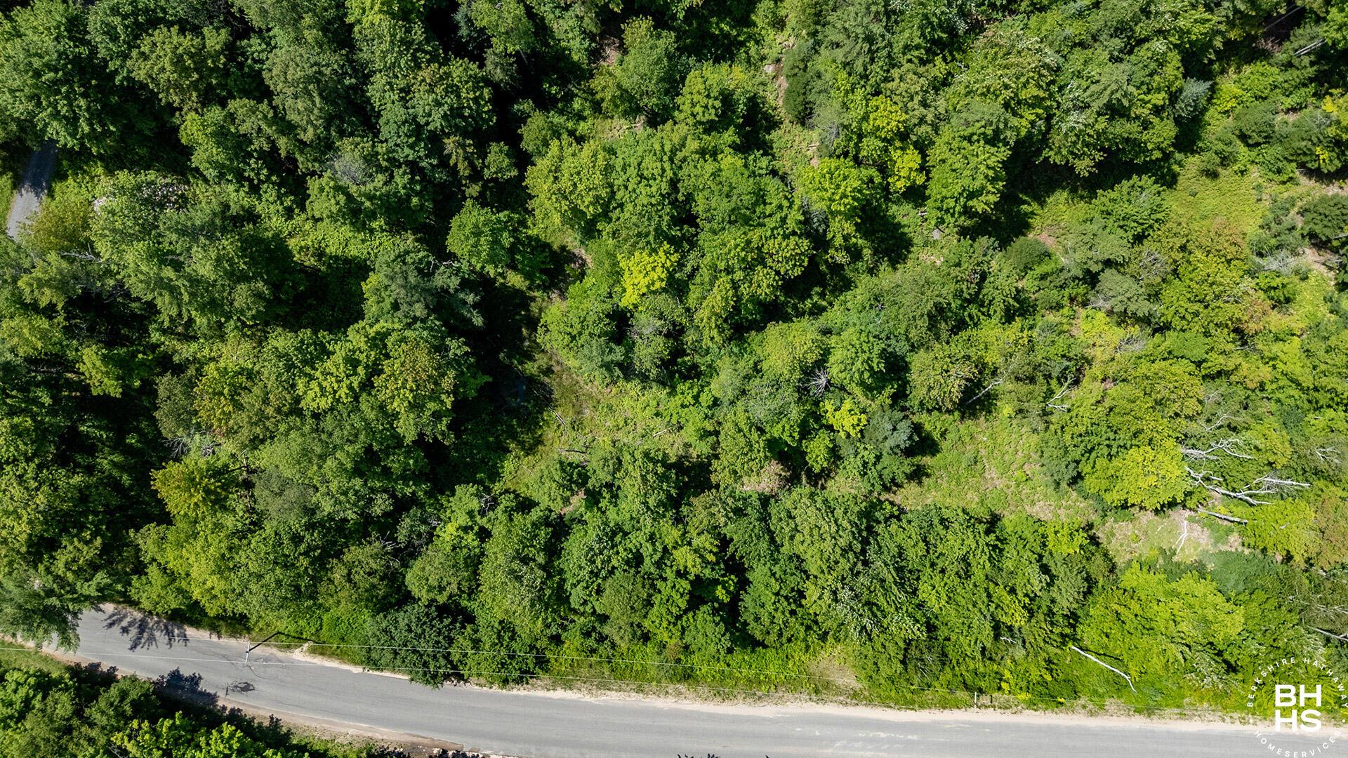 Image 4: 5AcreLoonLake_July26_A_Above_RoadFront