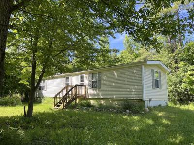37 Pine