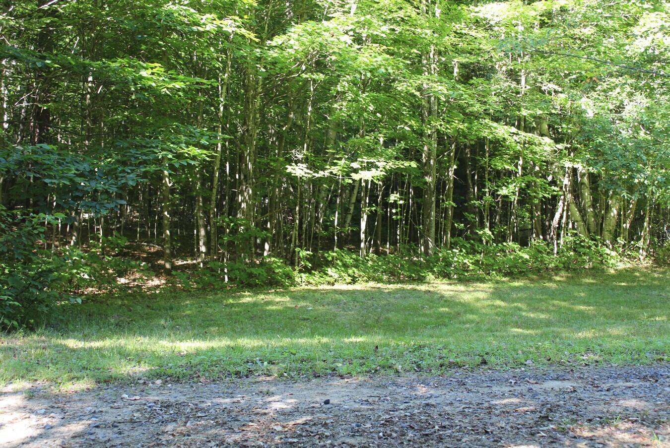 Image 2: 01
