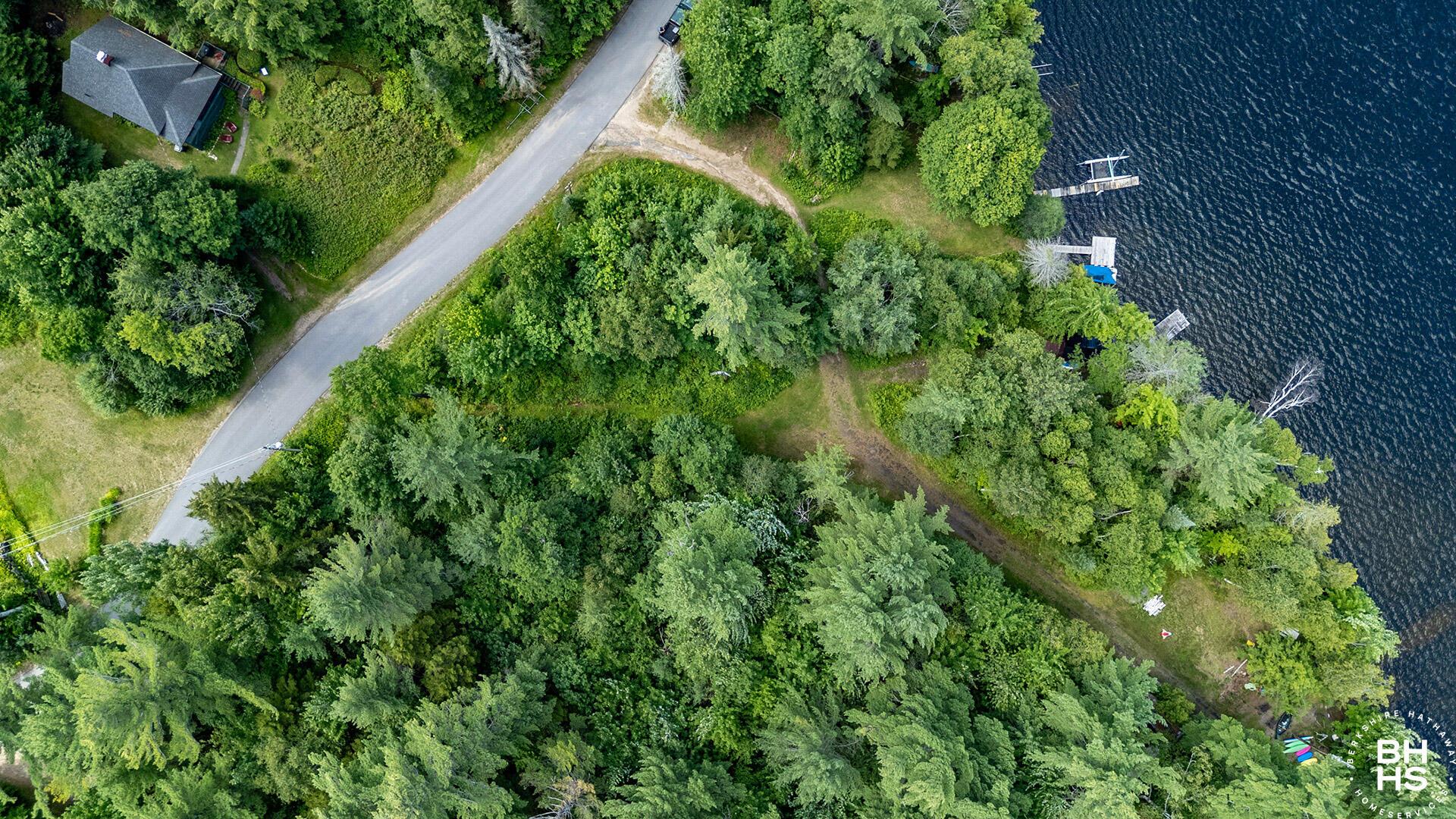 Image 4: WaterfrontLotOnLoonLake_A_Above