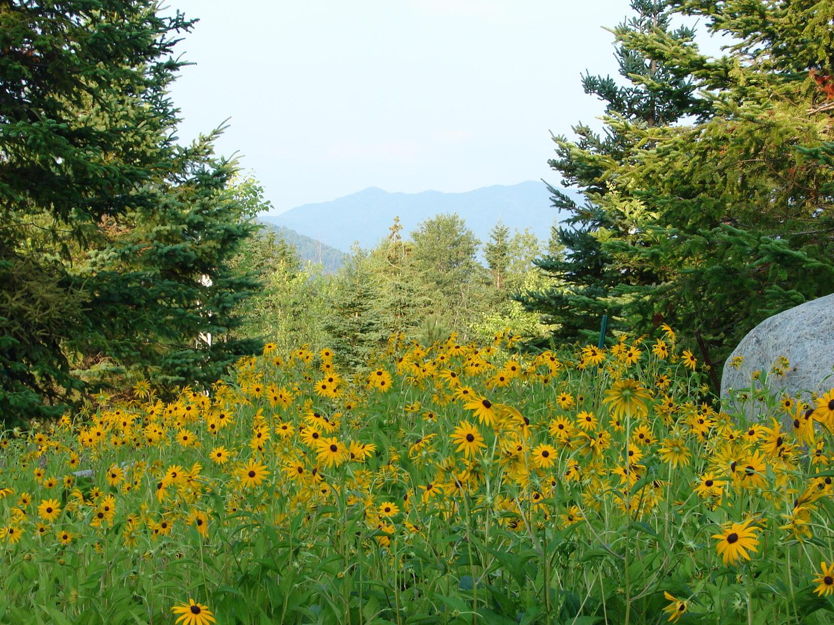 Image 4: The Whiteface Lodge Lake Placid NY 003
