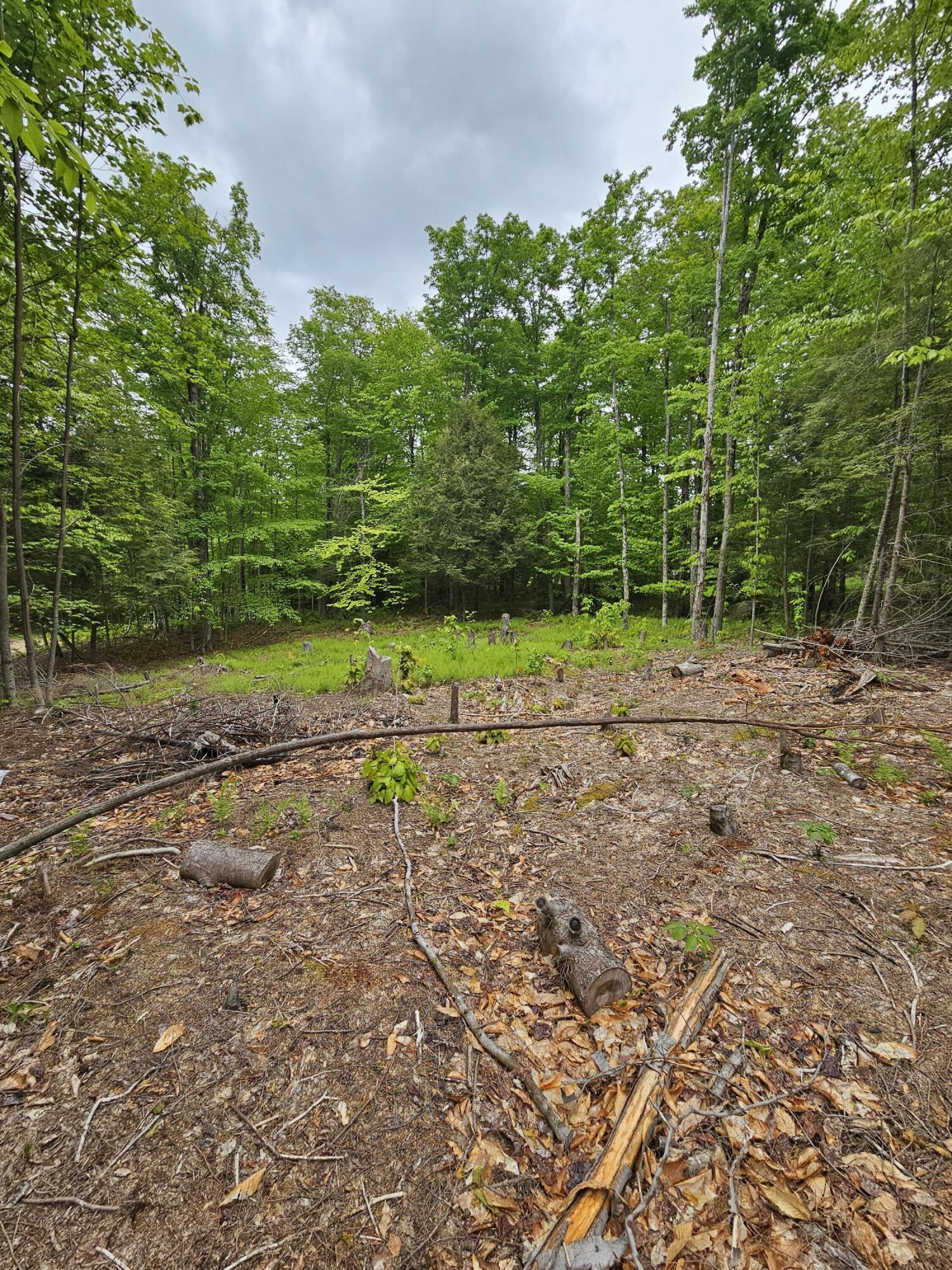 Image 3: 20260531_162139