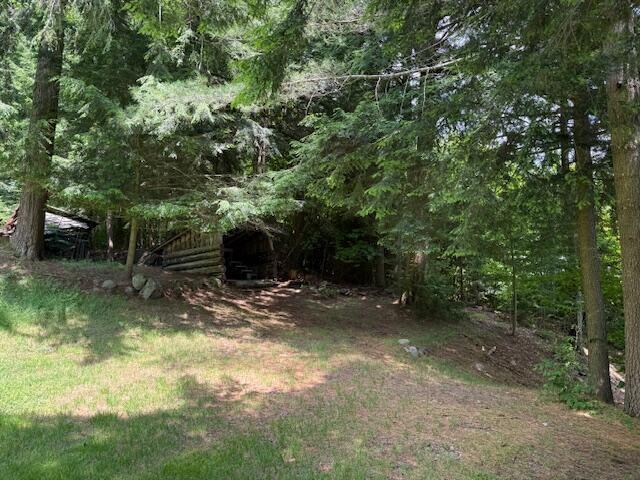 Image 2: IMG_1004