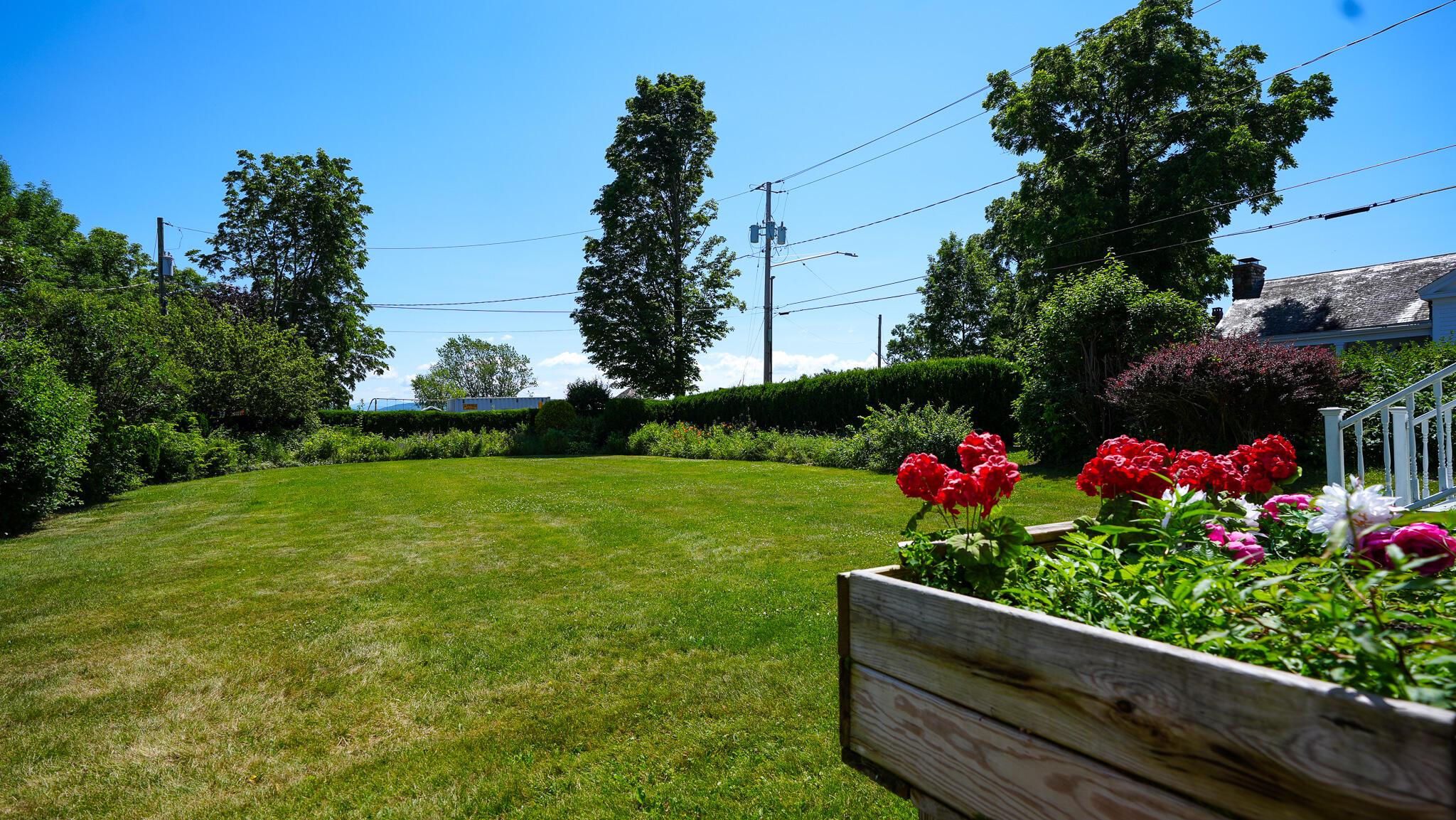 Image 4: DSC00094
