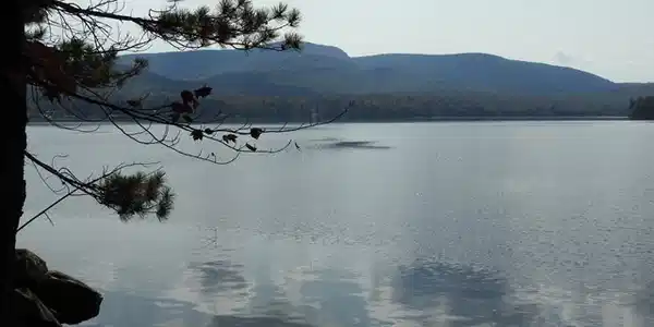 5 Tupper Lake West Shore