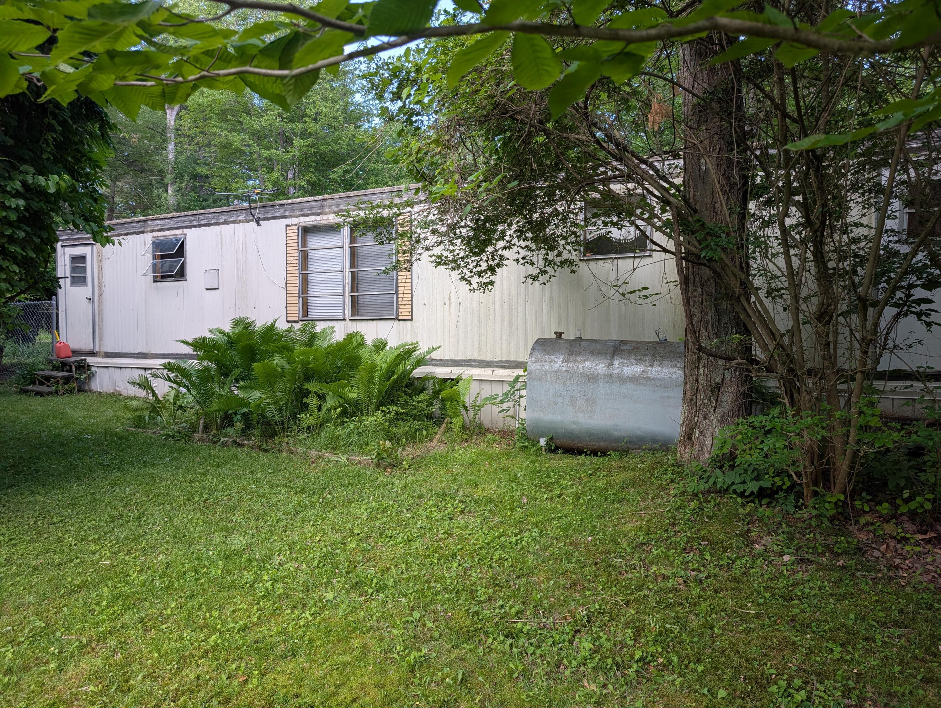 Image 4: PXL_20260616_202021109
