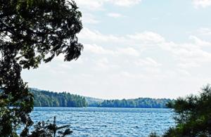 5 Markham Point