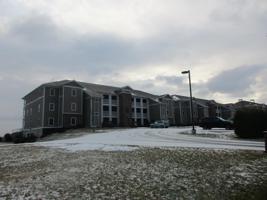 62 Club Rd, #203
