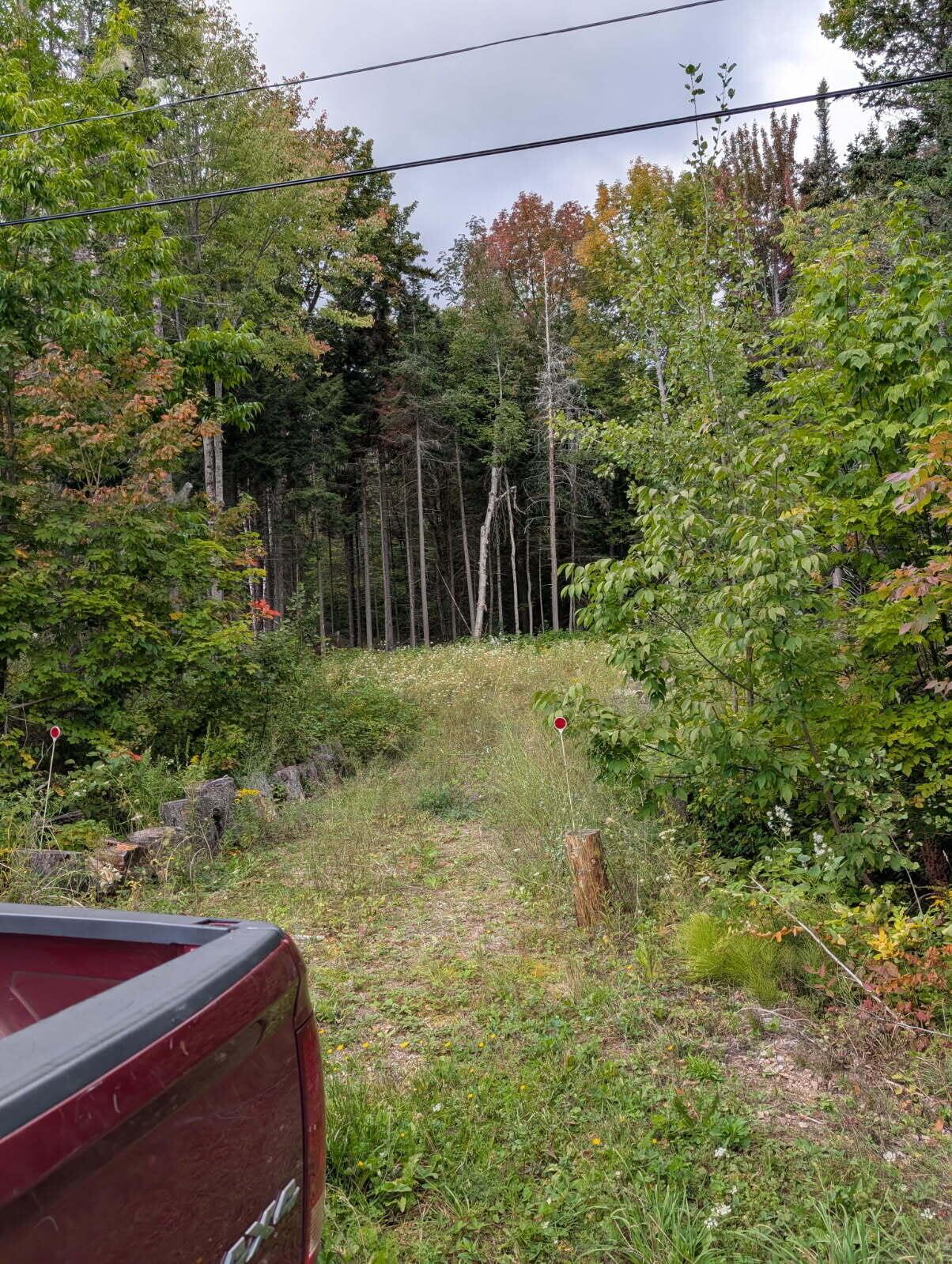 Image 2: image000001(39)