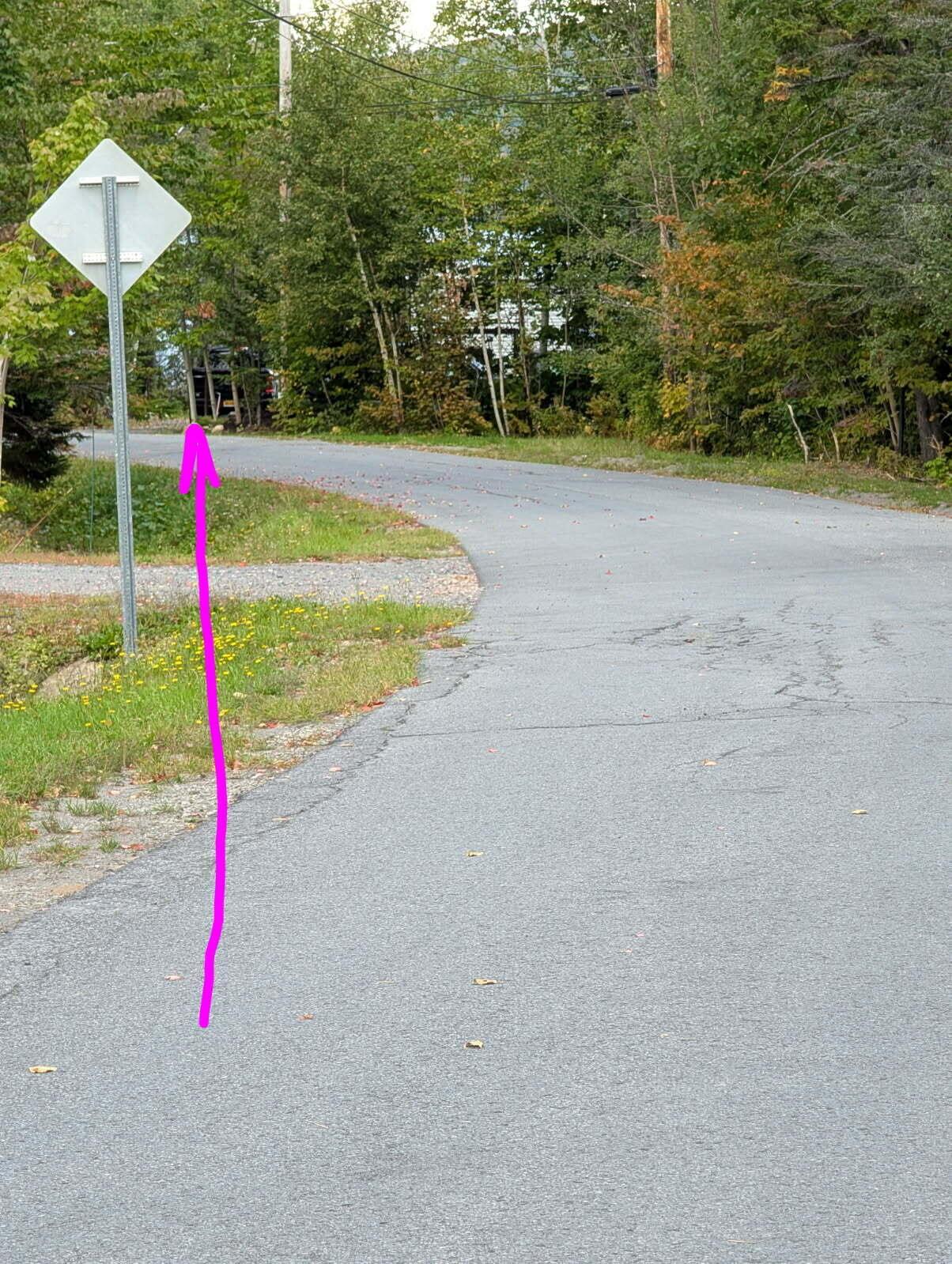 Image 3: image000001(40)