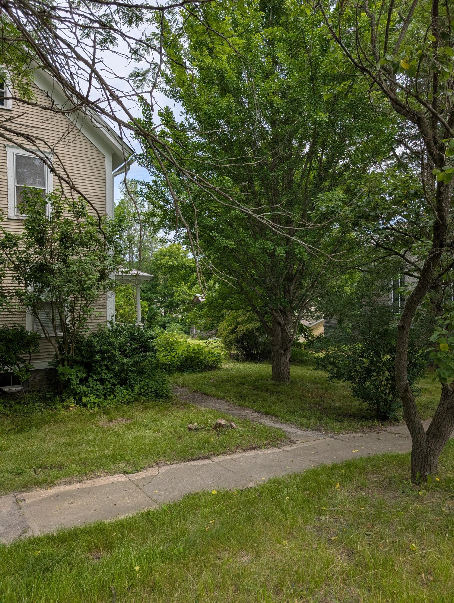 Image 3: PXL_20260630_154212851