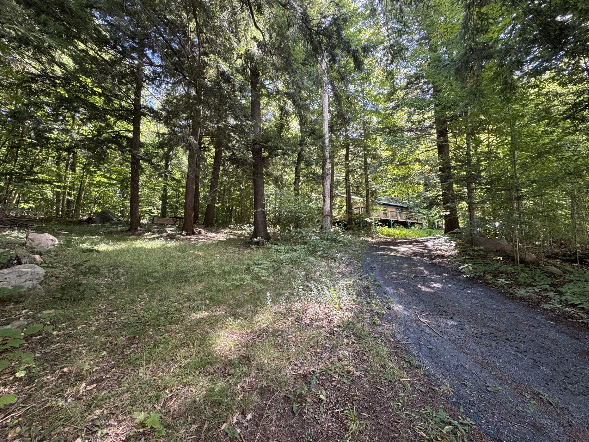 Image 2: vickyard