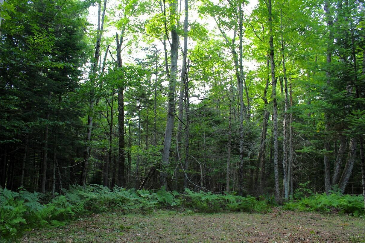 Image 4: 504