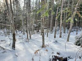 Lot 7 Balsam Road