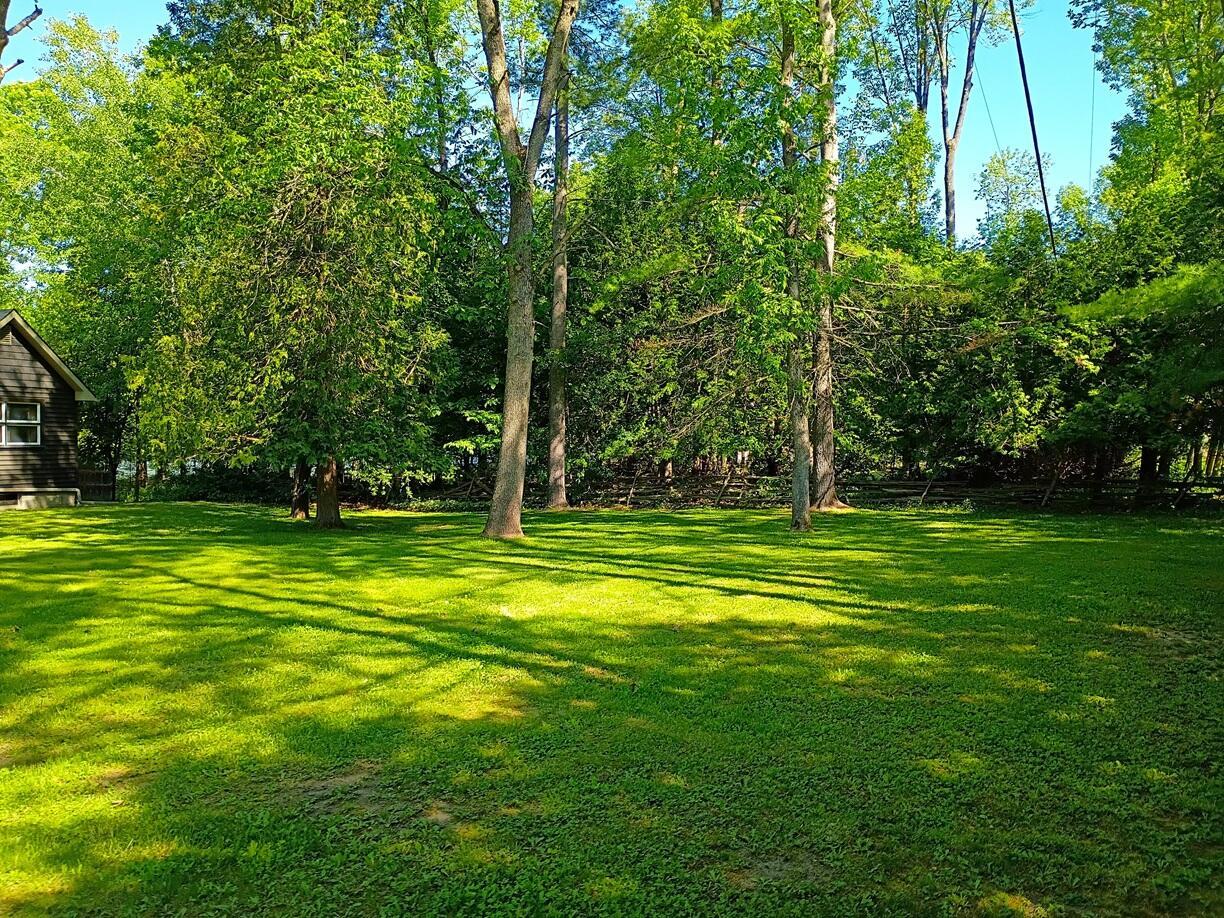 Image 4: 199 Corlear front yard