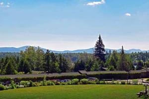 351 Whiteface Inn Rd Hillside Condo # 9