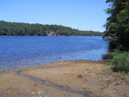 0 Lot# 1 Deerland Rd.