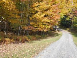 Lot 16 Norma Drive