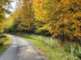 Lot 15 Norma Drive