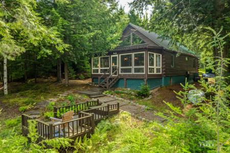 242 Blue Spruce