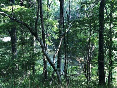 0 Beaver Trail