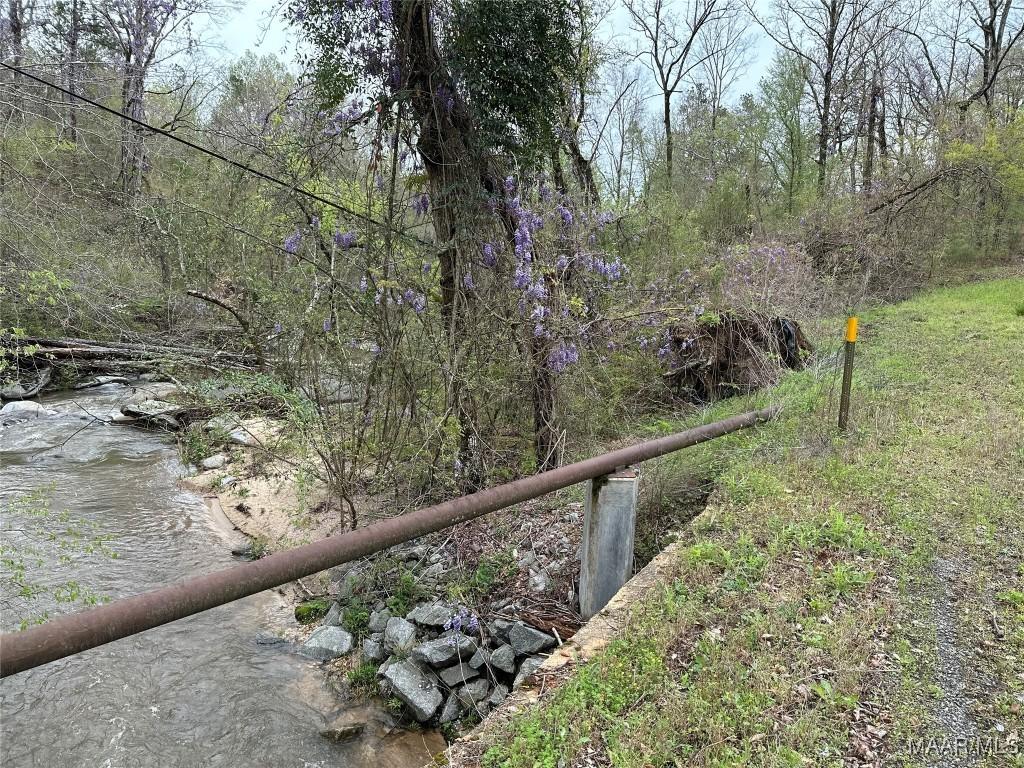 Image 2: Current photo