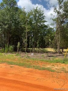 Lot 10 Deer Loop