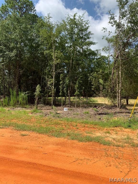 Image 1: Lot 10 Deer Loop