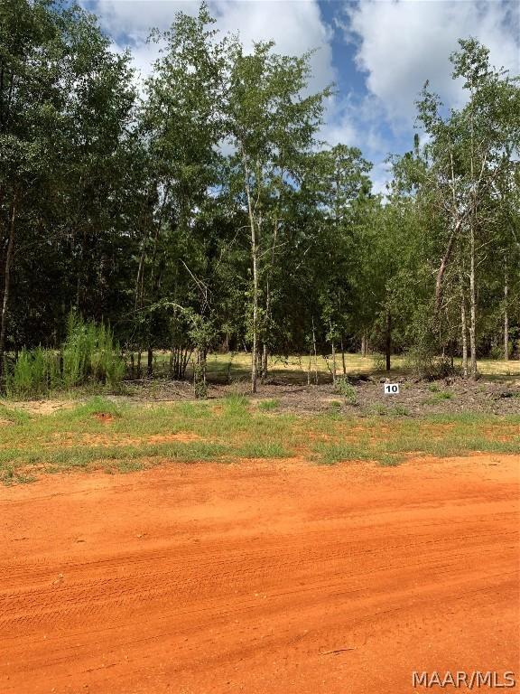 Image 2: Lot 10 Deer Loop