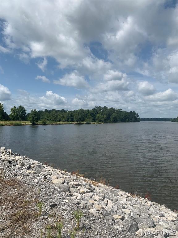 Image 3: Future site of Miller&rsquo;s Ferry Marina