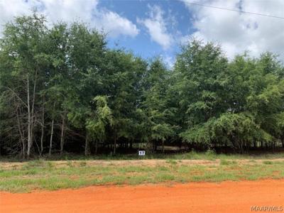 Lot 17 Deer Loop