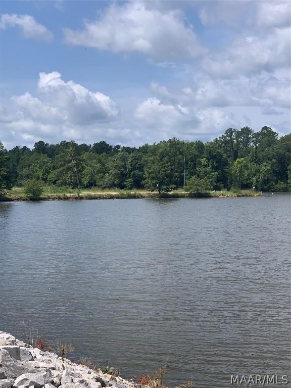 Image 3: Future Site of Miller&rsquo;s Ferry Marina