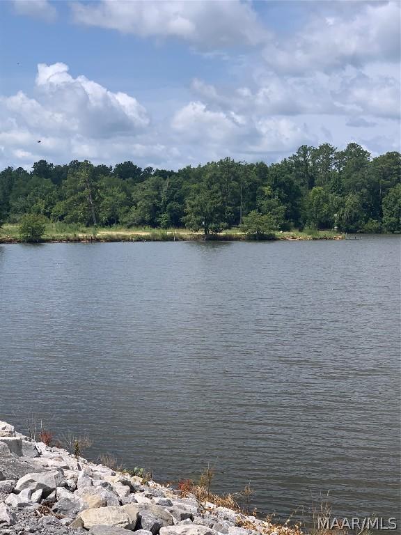 Image 4: Future site of Miller&rsquo;s Ferry Marina