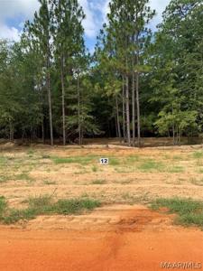 Lot 12 Deer Loop