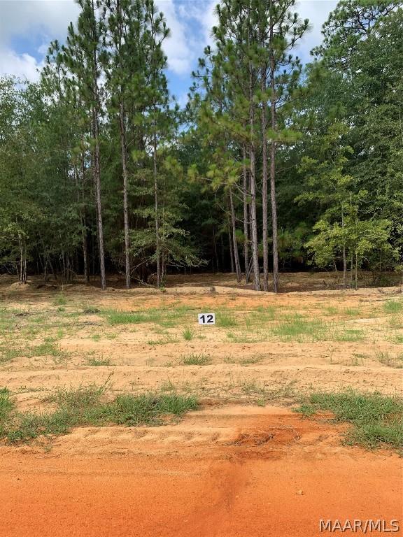 Image 1: Lot 12 Deer Loop