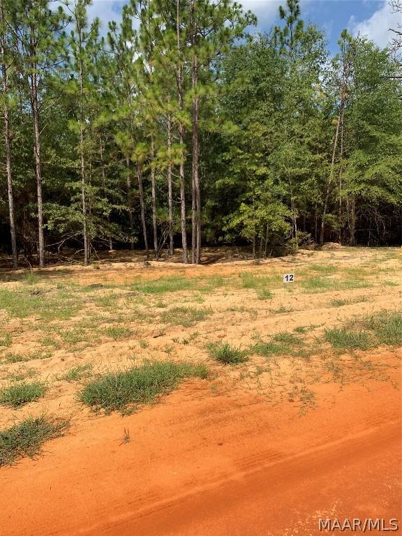 Image 2: Lot 12 Deer Loop