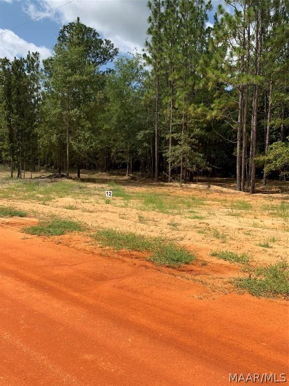 Image 3: Lot 12 Deer Loop