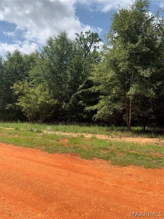 Image 2: Lot 15 Deer Loop