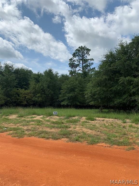 Image 3: Lot 16 Deer Loop