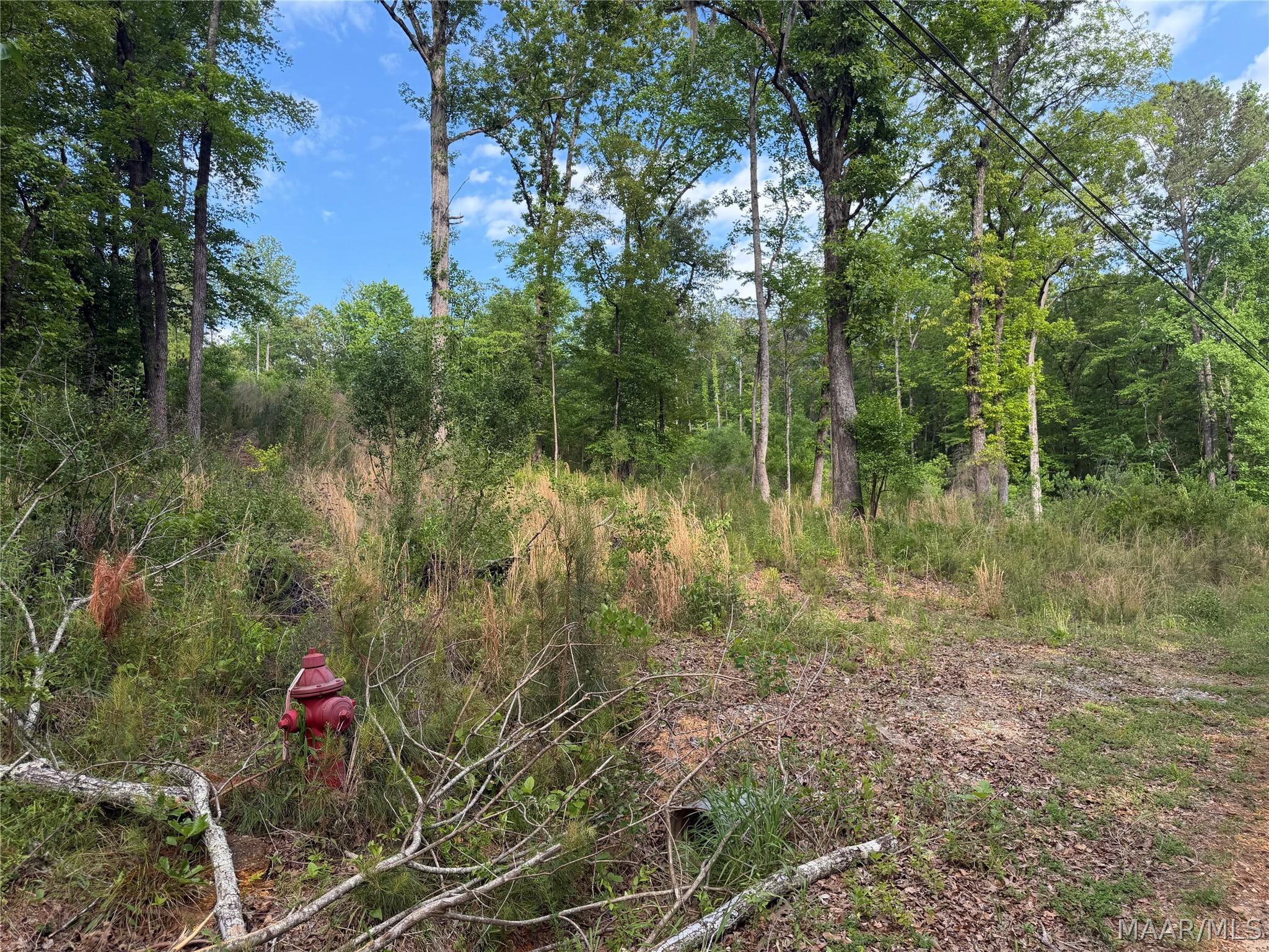 Image 2: From Shady Acres Rd
