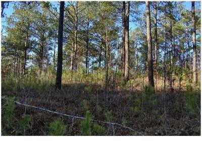 100 COUNTY RD 67