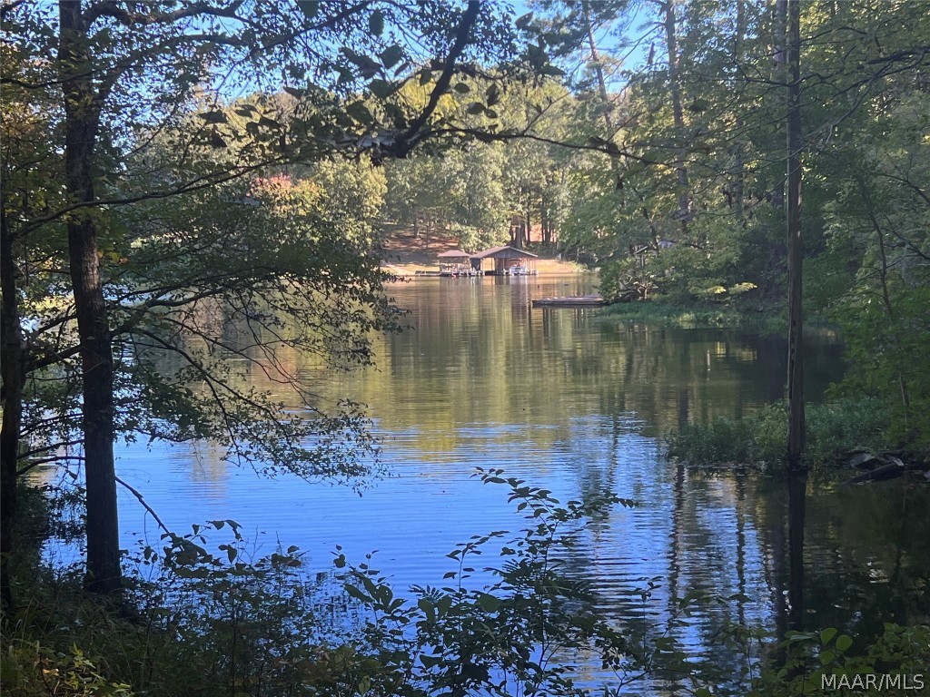 0 Willie Holt Road, Deatsville, AL lhrmls01496432