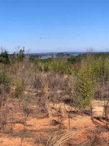 8673 Kowaliga Road