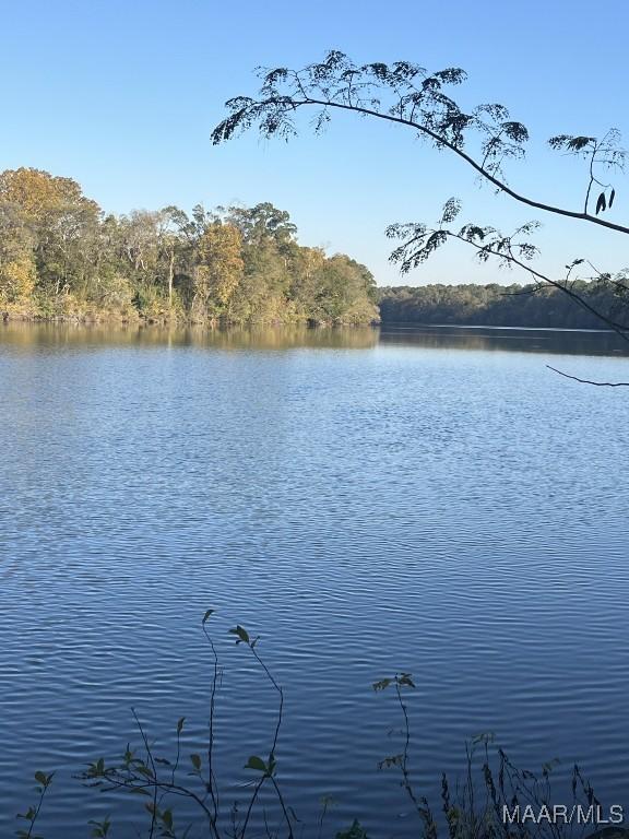 Image 3: Gorgeous view!