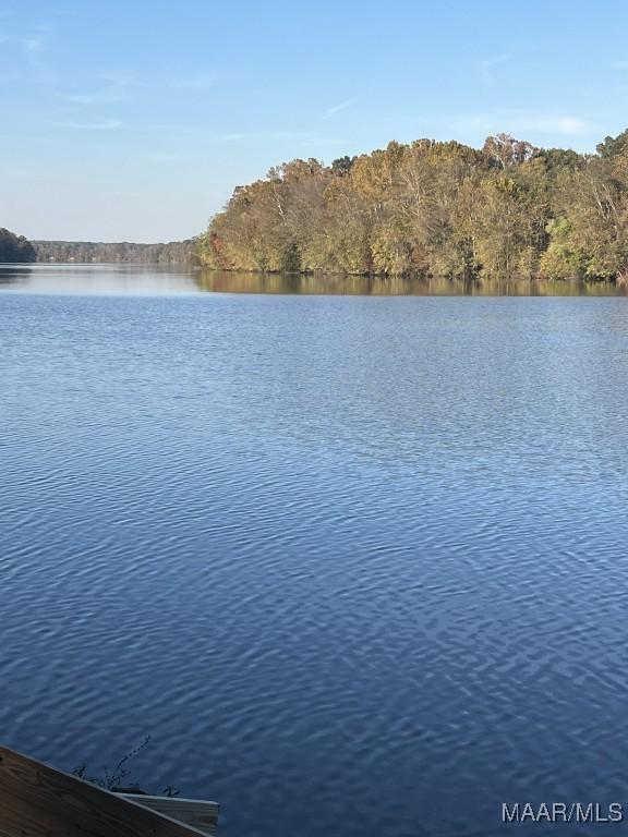 Image 4: Wonderful view! Perfect for swimming, boating, or