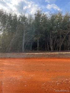 Lot 24 Deer Loop