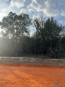Lot 35 Deer Loop